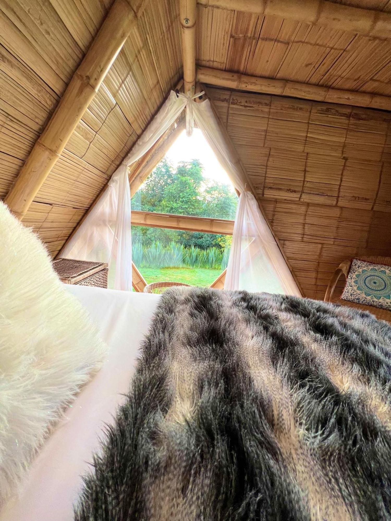 Glamping La Herradura Santa Rosa de Cabal Esterno foto